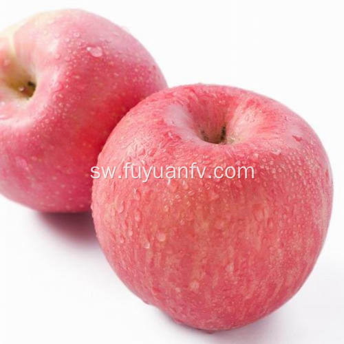 Round Fresh Cheap Qinguan apple